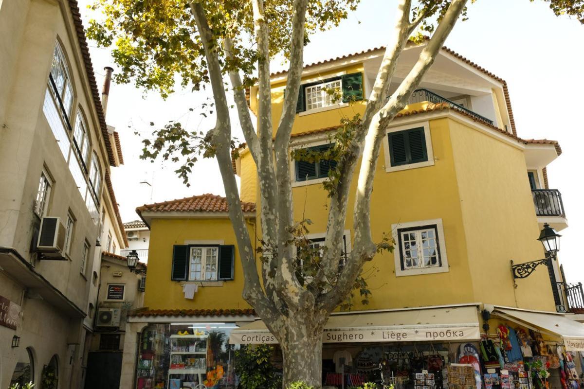 Beco Torto, * Cascais